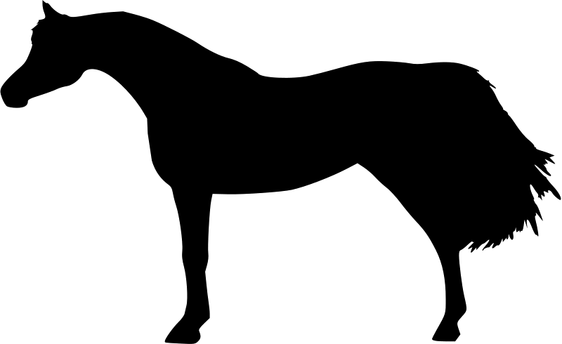 Left Horse