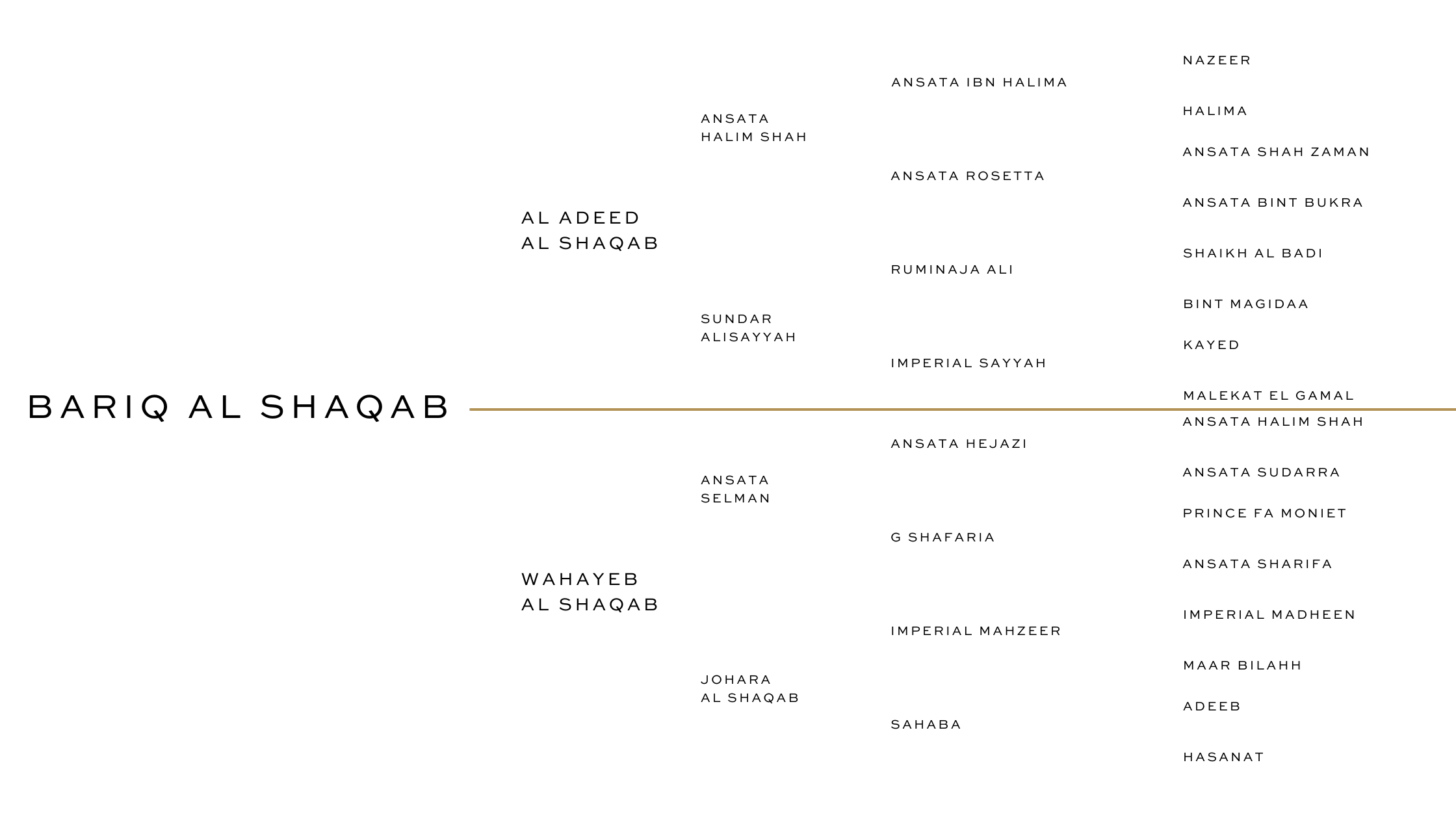 HALIM ALBADEIA