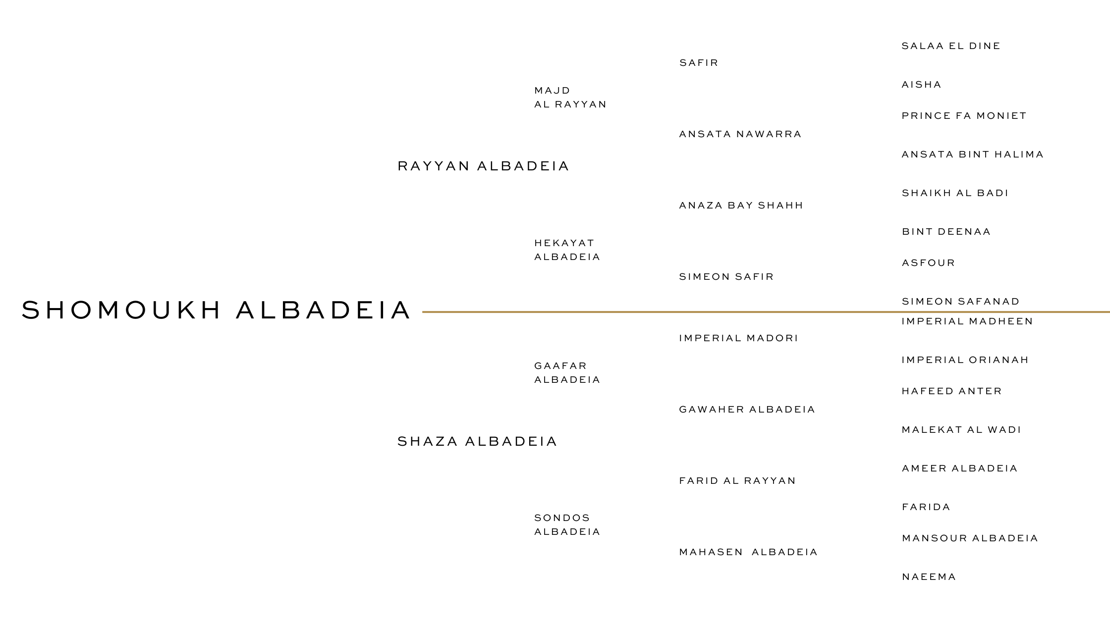 HALIM ALBADEIA