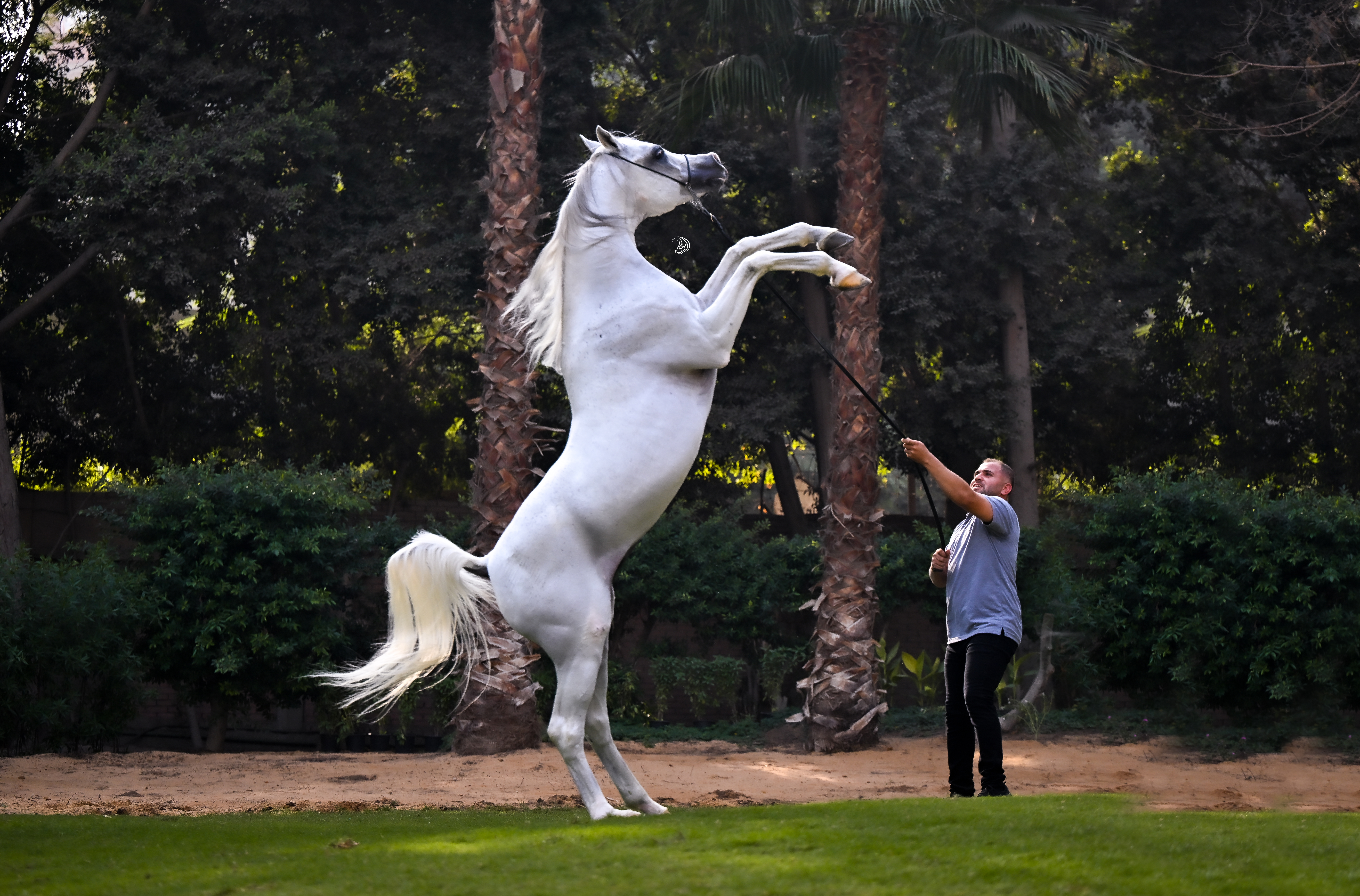 Tabarak Albadeia.jpg