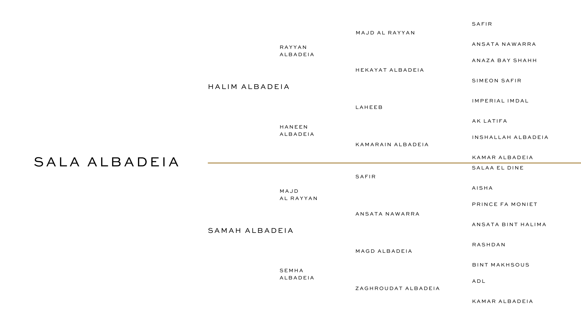HALIM ALBADEIA