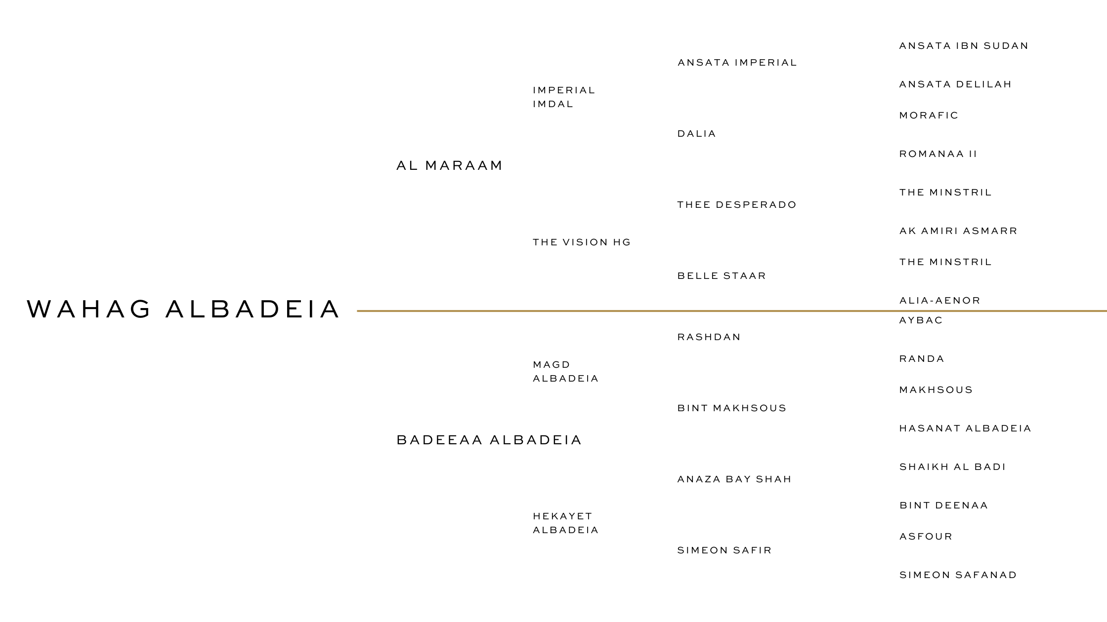 HALIM ALBADEIA