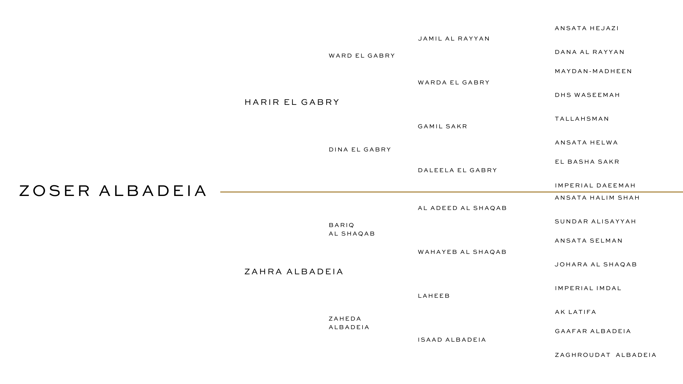 HALIM ALBADEIA