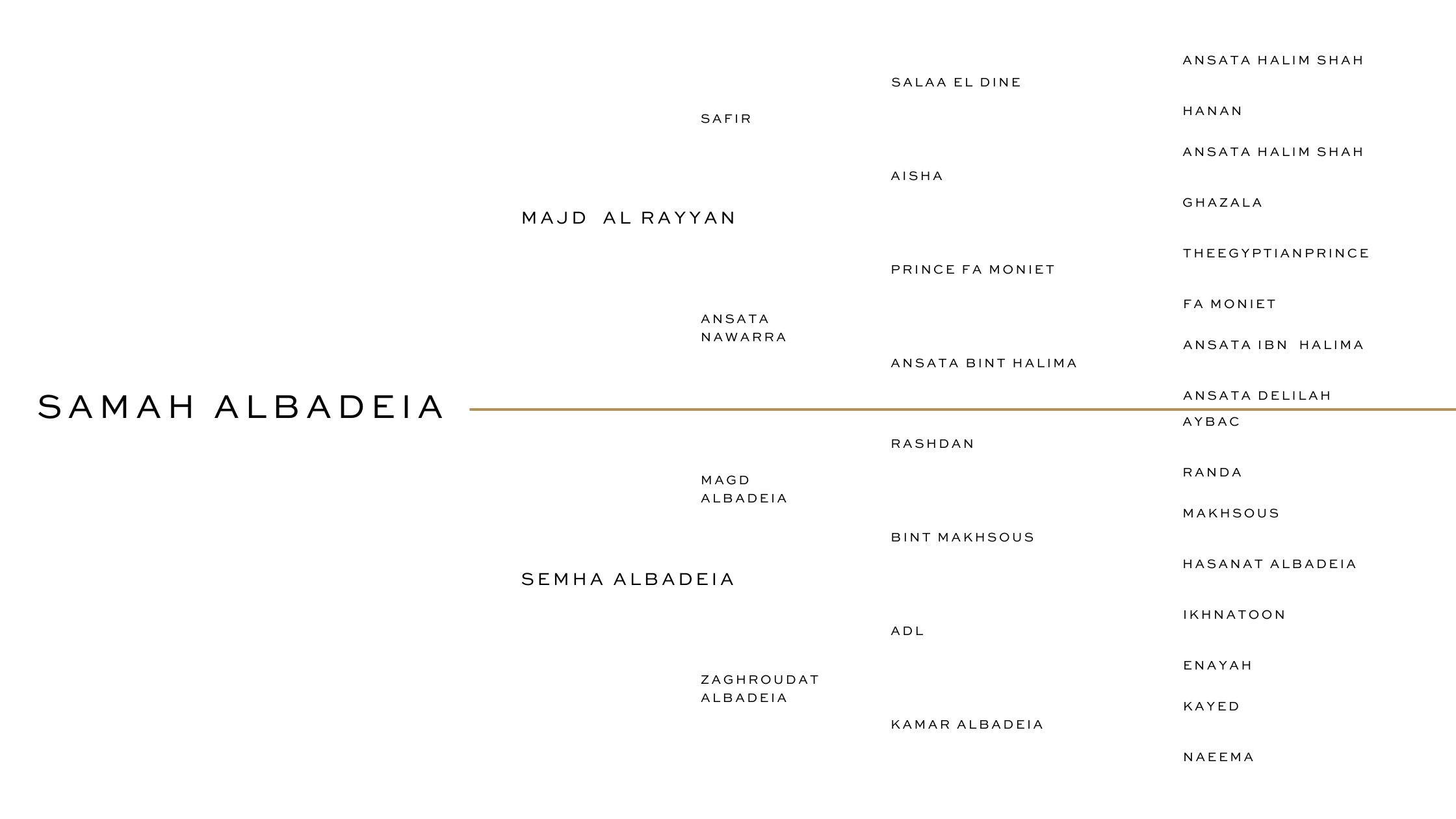 HALIM ALBADEIA