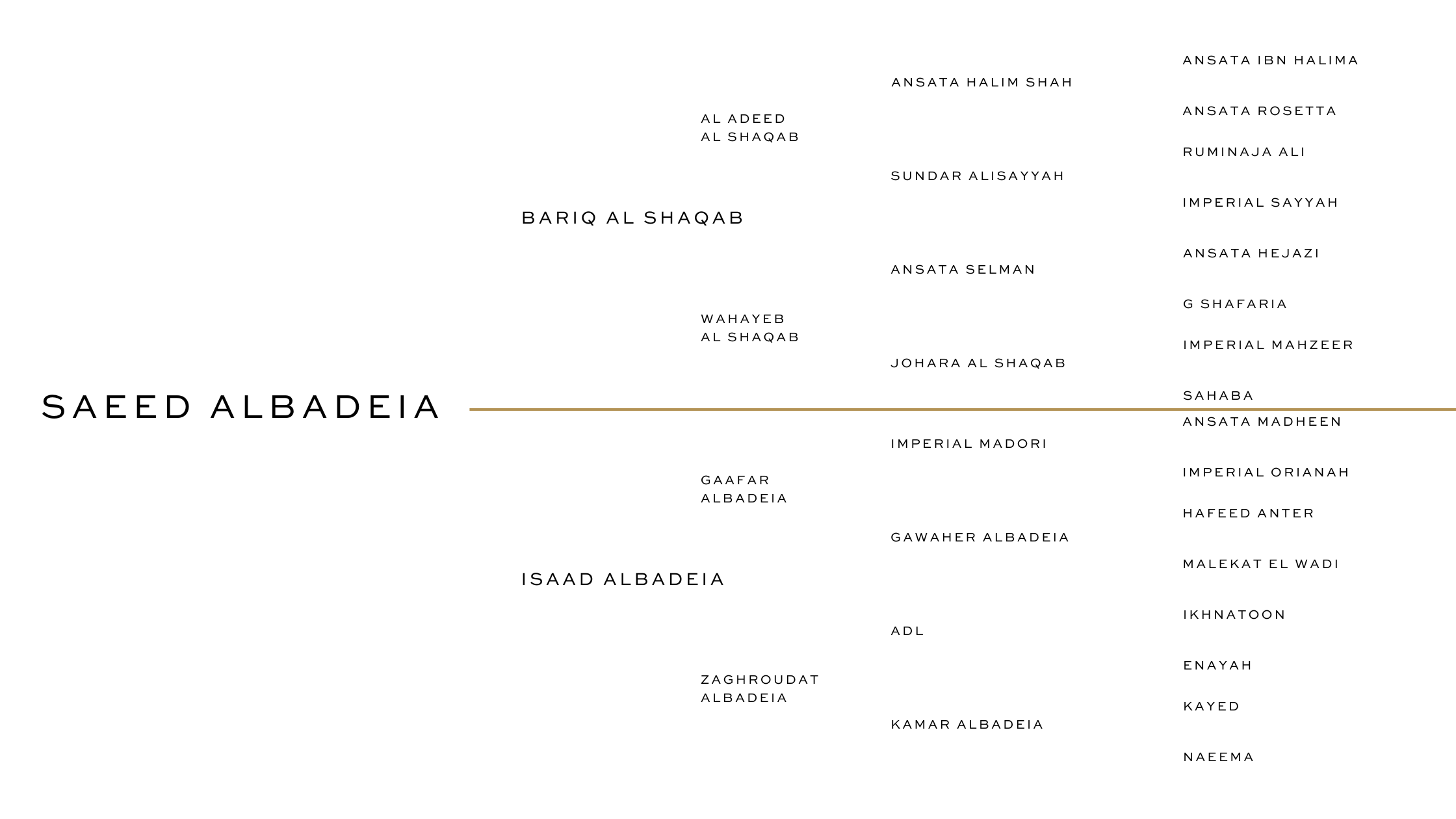 HALIM ALBADEIA
